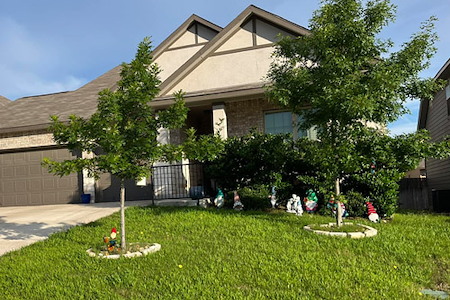 Tree Trimming vs. Pruning: What Homeowners Actually Need